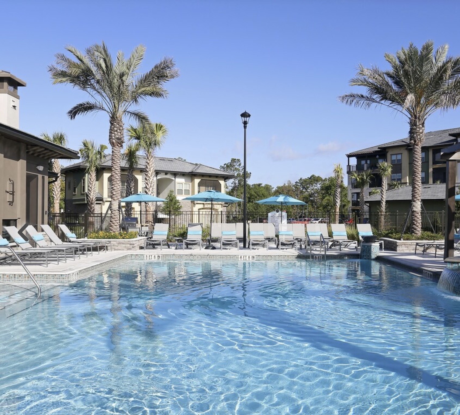 Resort-style pool and palms